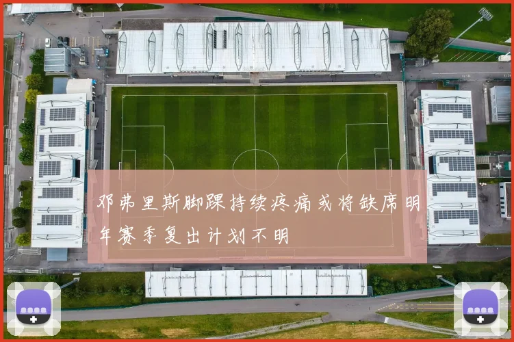 邓弗里斯脚踝持续疼痛或将缺席明年赛季复出计划不明