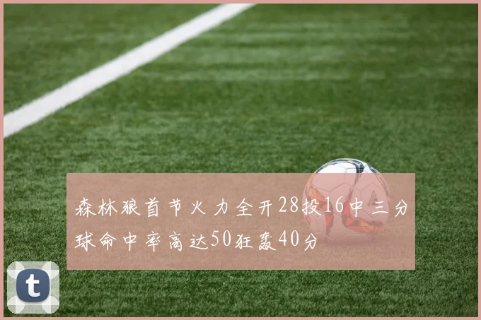 森林狼首节火力全开28投16中三分球命中率高达50狂轰40分