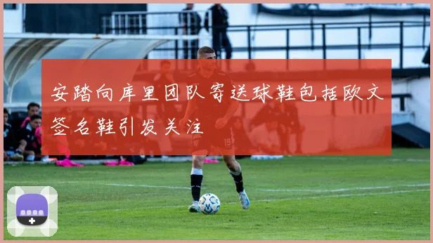 安踏向库里团队寄送球鞋包括欧文签名鞋引发关注